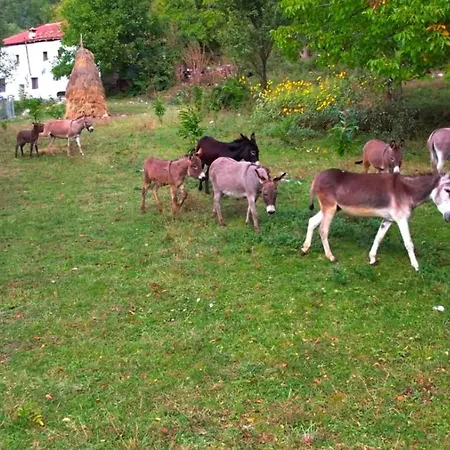 Prázdninový dům Ferma E Gomaricave Orenje,librazhd-gomarica Farm Orenje,librazhd
